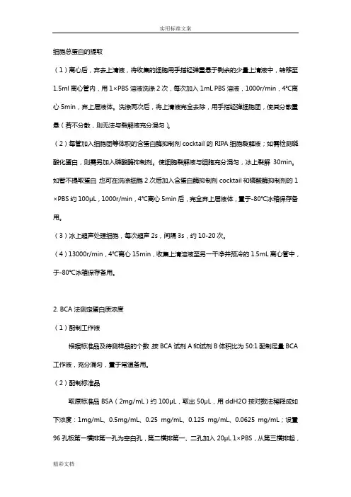 westernblotting蛋白质印迹实验的流程