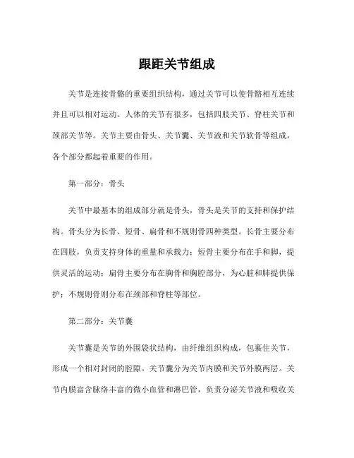 跟距关节组成