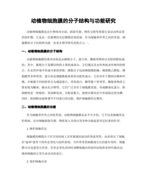 动植物细胞膜的分子结构与功能研究