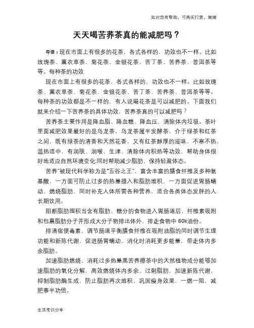 天天喝苦荞茶真的能减肥吗？