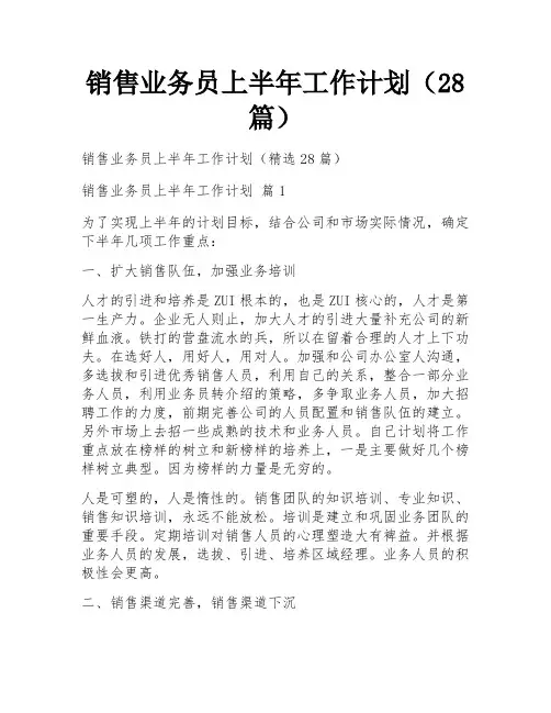 销售业务员上半年工作计划(28篇)