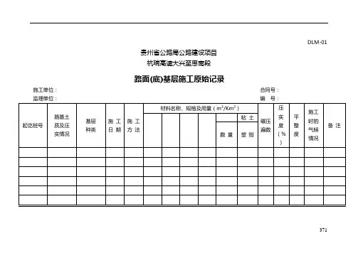 DLM路面表