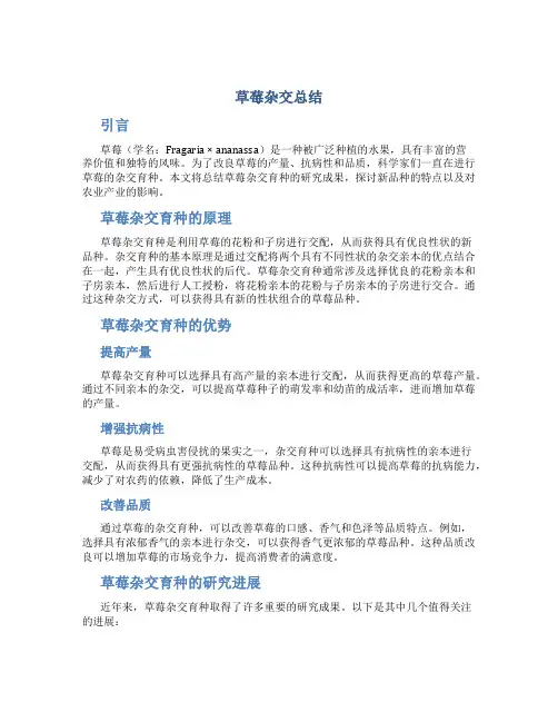 草莓杂交总结