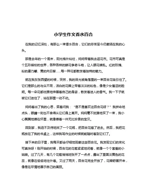 小学生作文香水百合