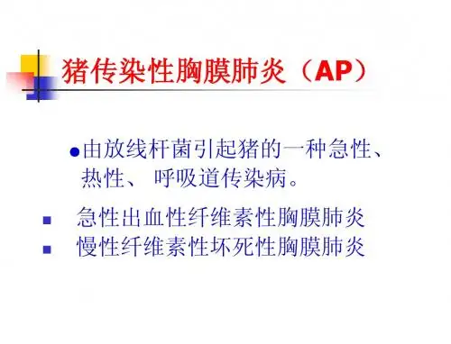 猪传染性胸膜肺炎(AP)