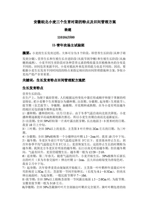 小麦三个阶段的生育特点及田间管理措施