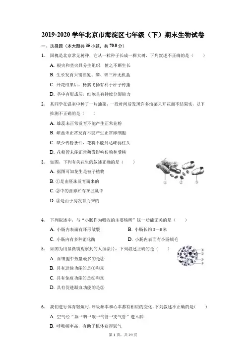 2019-2020学年北京市海淀区七年级(下)期末生物试卷(附答案详解)