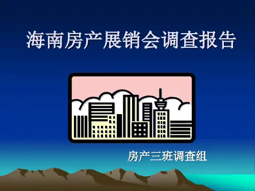 海南房地产调查报告