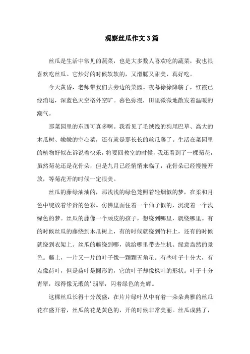 中小学观察丝瓜作文