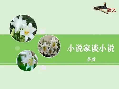 14《小说家谈小说》课件(第2课时)
