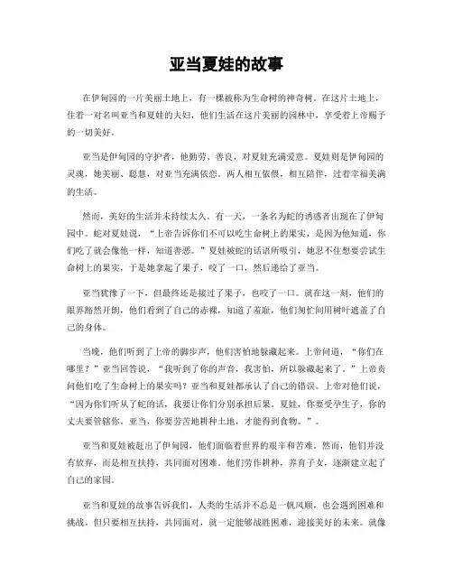 亚当夏娃的故事