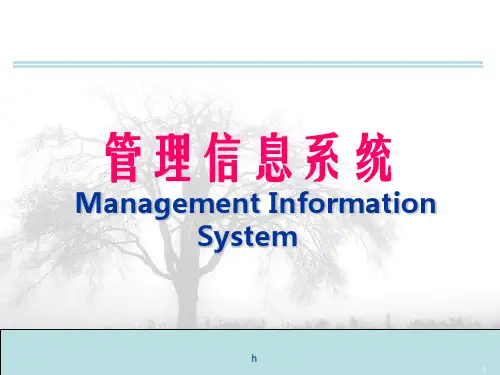管理信息系统ManagementInformationSystem课件