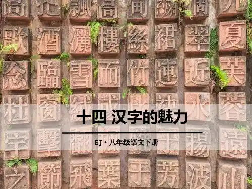 《汉字的魅力》课件ppt文档
