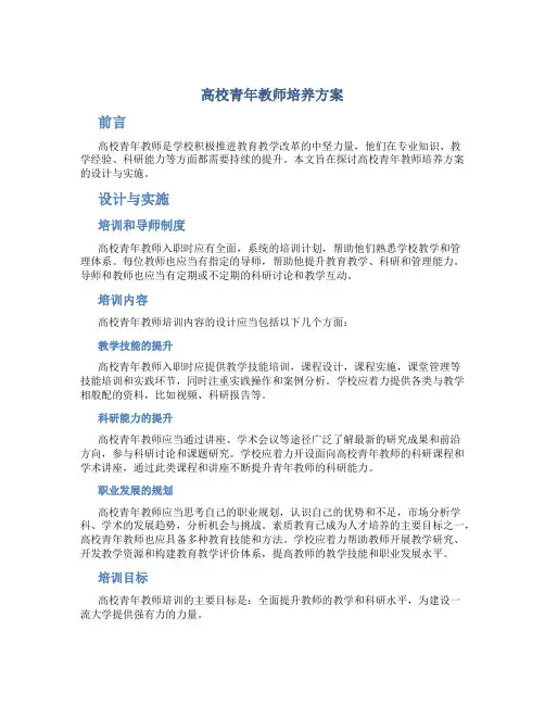 高校青年教师培养方案