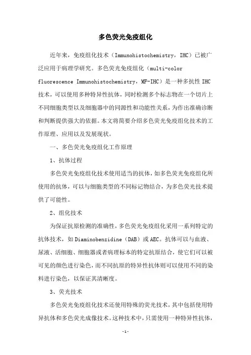 多色荧光免疫组化
