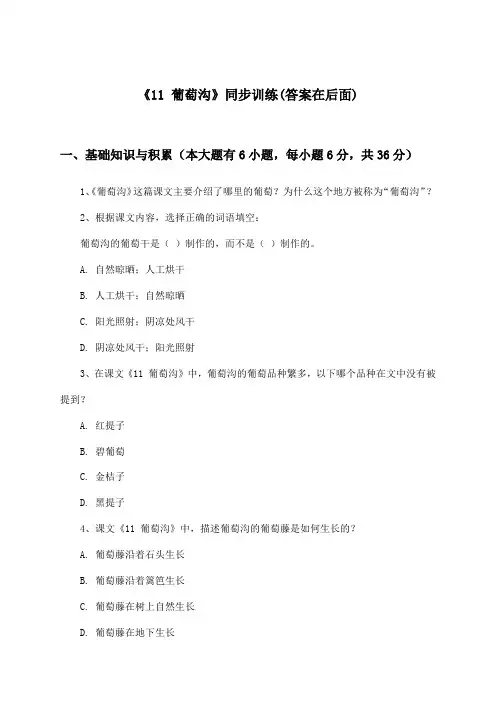 《11 葡萄沟》(同步训练)小学语文二年级上册_统编版_2024-2025学年