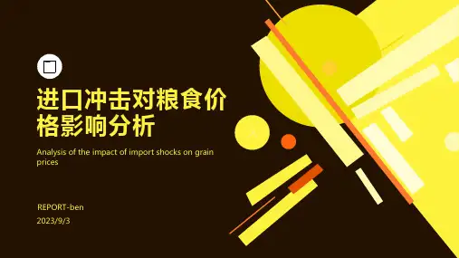 2023年粮食价格走势分析：遭遇进口冲击 粮价改革不可急于求成方案模板