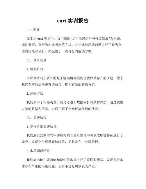 envi实训报告