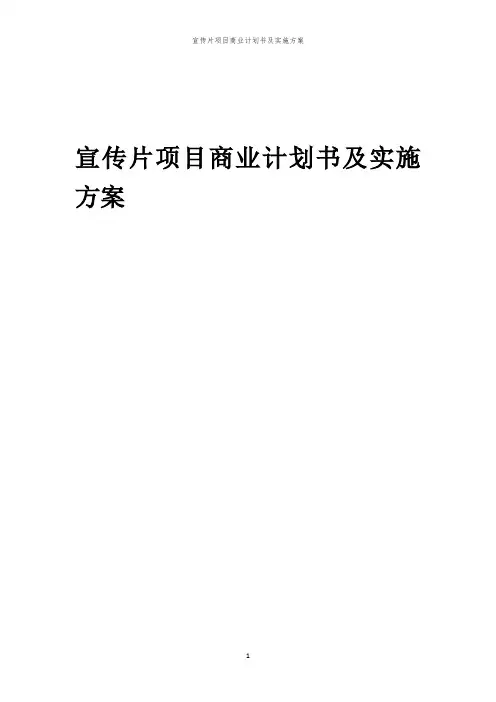 2024年宣传片项目商业计划书及实施方案