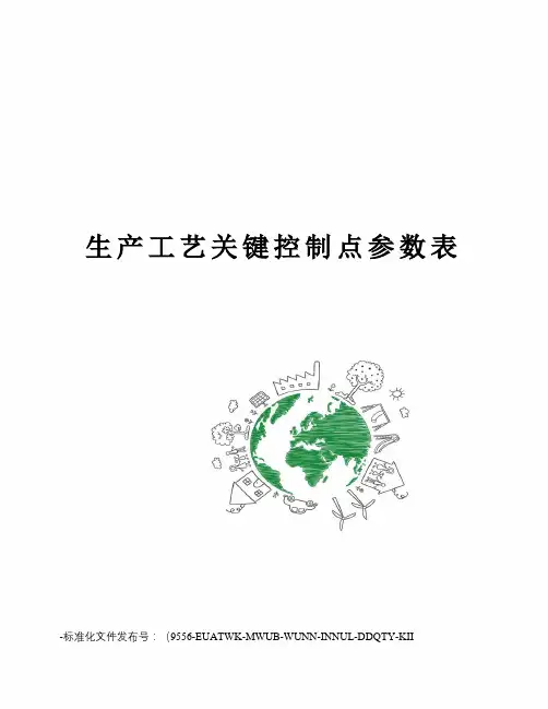 生产工艺关键控制点参数表