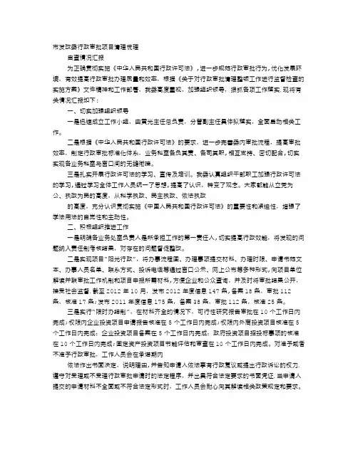 精简行政审批项目专项整治工作总结