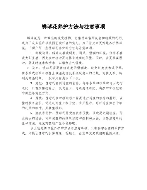 绣球花养护方法与注意事项