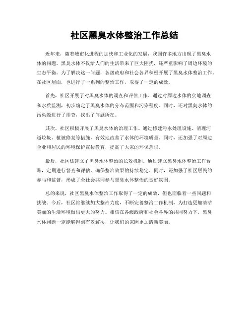 社区黑臭水体整治工作总结
