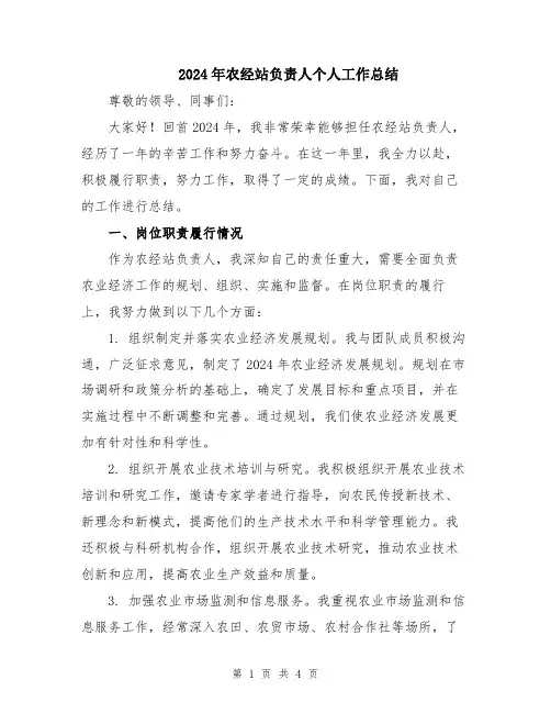 2024年农经站负责人个人工作总结 2