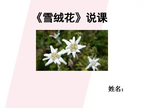 《雪绒花》说课PPT