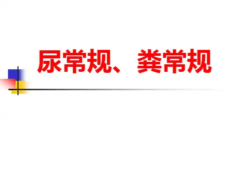 尿常规+粪常规