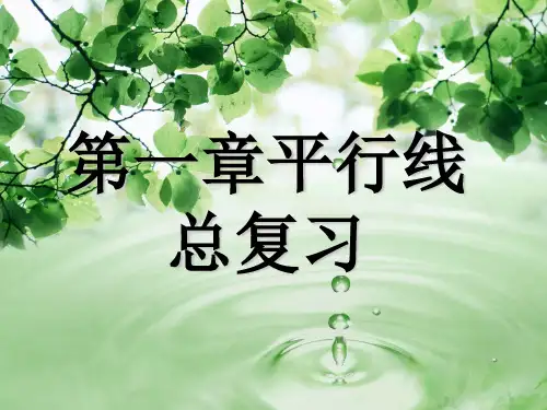 第一章平行线复习课件