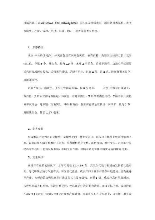 柑橘木虱