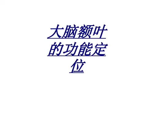 大脑额叶的功能定位讲义