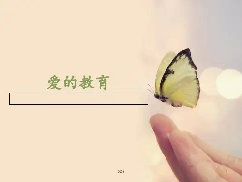 《爱的教育》读后感PPT课件