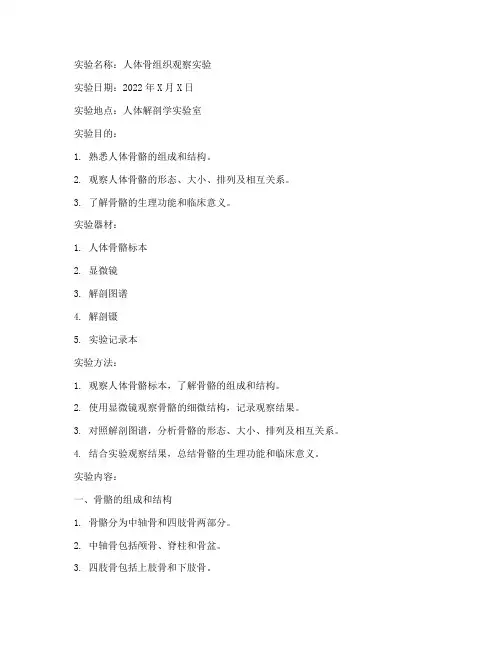 人体骨组织观察实验报告