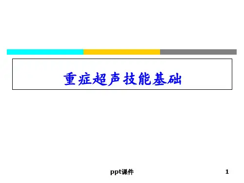 重症超声基础