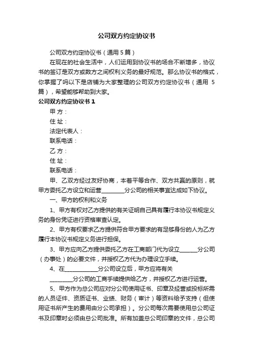 公司双方约定协议书