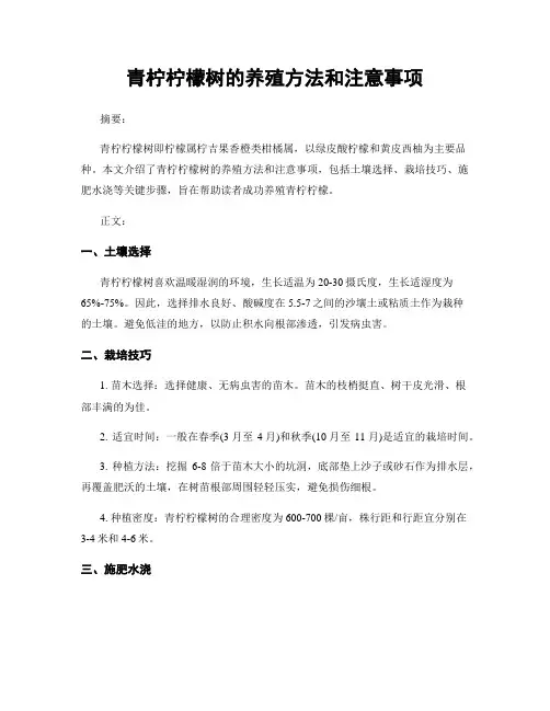 青柠柠檬树的养殖方法和注意事项