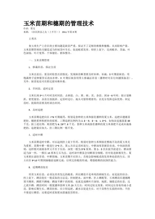 玉米苗期和穗期的管理技术