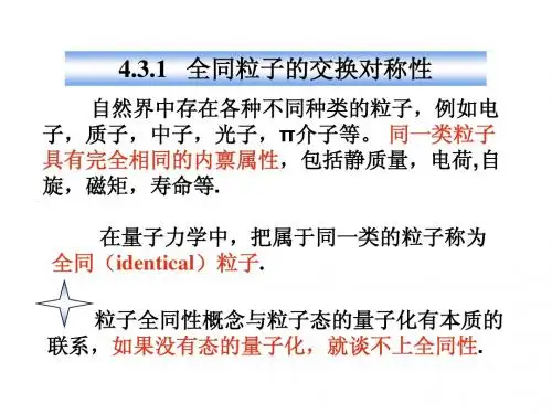 全同粒子