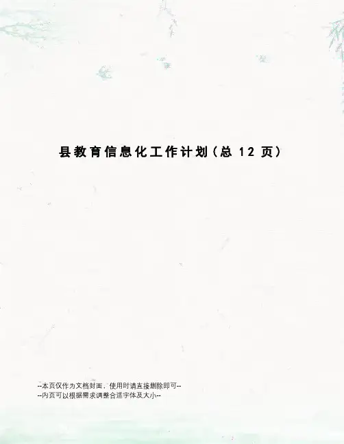 县教育信息化工作计划