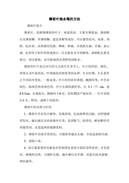 薄荷叶泡水喝的方法