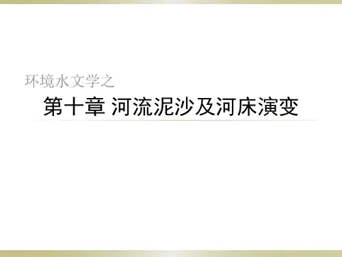 第十章 河流泥沙及河川过程.