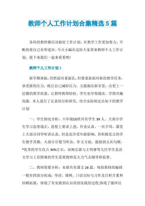 教师个人工作计划合集精选5篇