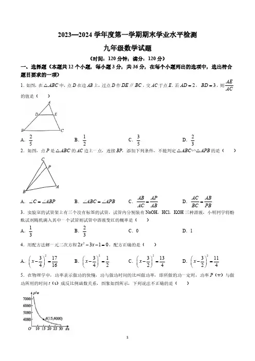 山东省聊城市莘县2023-2024学年九年级上学期期末数学试题(含答案)