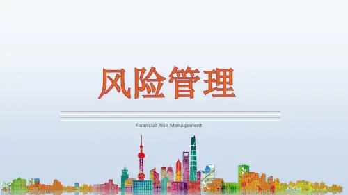 第一章  金融风险管理基础1