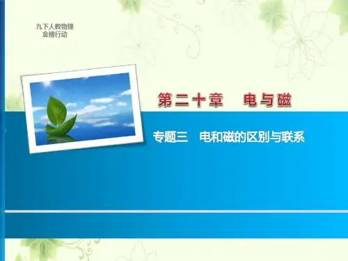 九年级物理下册专题三 电和磁的区别与联系
