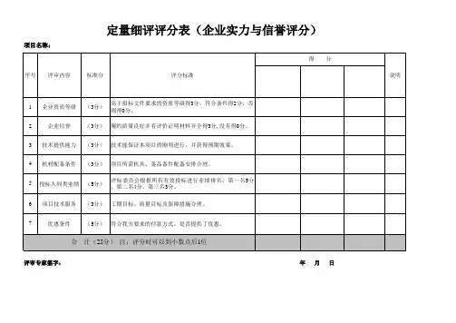 非标项目评分表 (1)