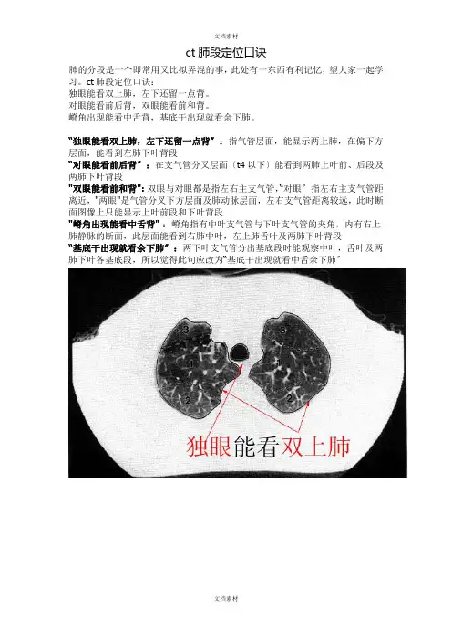 CT肺的分叶分段