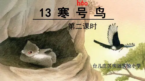 《寒号鸟》第二课时教学课件